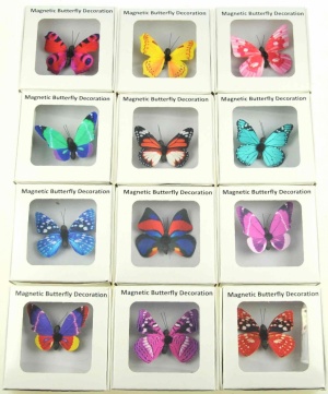Code: 3000: Boxed Butterfly Magnets - 25 Designs -  (Pack Size 50) Price Breaks Available